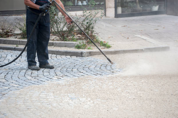 Best Roof Washing  in Heyworth, IL